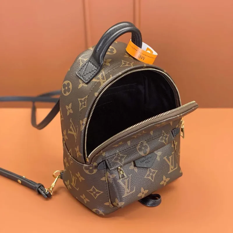 Louis Vuitton LV Women Palm Springs Mini M44873
