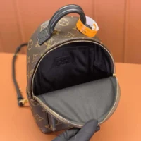 Louis Vuitton LV Women Palm Springs Mini M44873 (1)