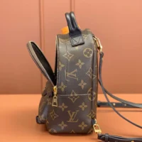 Louis Vuitton LV Women Palm Springs Mini M44873 (1)