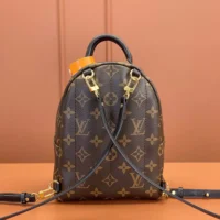 Louis Vuitton LV Women Palm Springs Mini M44873 (1)