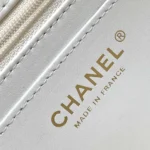 Chanel Women Mini Flap Bag Lambskin Gold Tone Metal AS5151