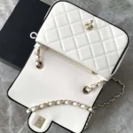 Chanel Women Mini Flap Bag Lambskin Gold Tone Metal AS5151