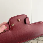 Gucci Women Horsebit 1955 Mini Bag 752002FAD6L9756