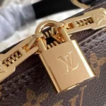 Louis Vuitton LV Women Alma BB Monogram Coated Canvas-Black