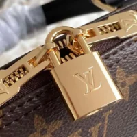Louis Vuitton LV Women Alma BB Monogram Coated Canvas-Black (1)