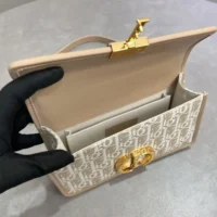 Dior Women 30 Montaigne East-West Bag with Chain Dior Oblique Jacquard (1)