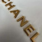 Chanel Women 22 Mini Handbag Shiny Calfskin Gold Tone Metal