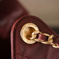 Chanel Women 25 Small Handbag Grained Calfskin Gold Tone Metal-Burgundy (1)