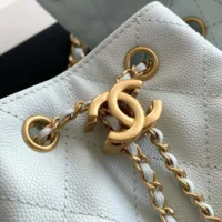 Chanel Women 25 Small Handbag Grained Calfskin Gold Tone Metal-Light Blue (1)