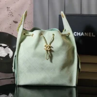 Chanel Women 25 Small Handbag Grained Calfskin Gold Tone Metal-Light Green (1)