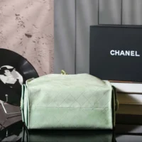 Chanel Women 25 Small Handbag Grained Calfskin Gold Tone Metal-Light Green (1)