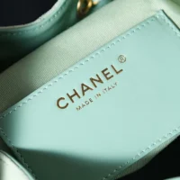 Chanel Women 25 Small Handbag Grained Calfskin Gold Tone Metal-Light Green (1)
