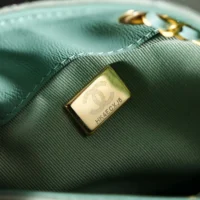Chanel Women 25 Small Handbag Grained Calfskin Gold Tone Metal-Light Green (1)