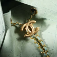Chanel Women 25 Small Handbag Grained Calfskin Gold Tone Metal-Light Green (1)
