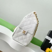 Chanel Women 25 Small Handbag Grained Calfskin Gold Tone Metal-White (1)