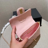Chanel Women Small Flap Bag with Top Handle Lambskin Gold Tone Metal-Light Pink (1)