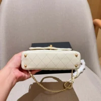 Chanel Women Small Flap Bag with Top Handle Lambskin Gold Tone Metal-White (1)
