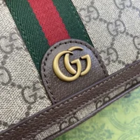 Gucci Women Ophidia Mini Bag-Brown 795466FABIA9741 (1)