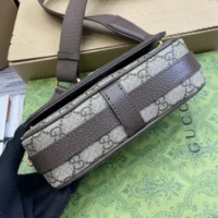 Gucci Women Ophidia Mini Bag-Brown 795466FABIA9741 (1)