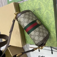 Gucci Women Ophidia Mini Bag-Brown 795466FABIA9741 (1)