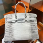 Hermes Birkin 30 Bag in Alligator Leather with Gold Hardware-White