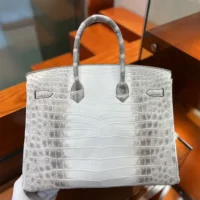 Hermes Birkin 30 Bag in Alligator Leather with Gold Hardware-White (1)
