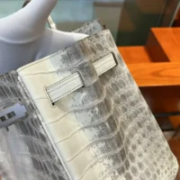 Hermes Birkin 30 Bag in Alligator Leather with Gold Hardware-White (1)