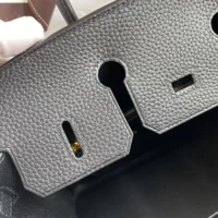 Hermes Birkin 30 Bag in Epsom Leather with Gold Hardware-Black/Gold