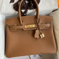 Hermes Birkin 30 Bag in Epsom Leather with Gold Hardware-BrownGold (1)