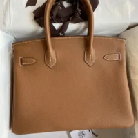 Hermes Birkin 30 Bag in Epsom Leather with Gold Hardware-BrownGold (1)