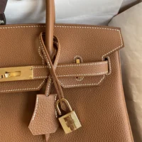 Hermes Birkin 30 Bag in Epsom Leather with Gold Hardware-BrownGold (1)