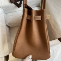 Hermes Birkin 30 Bag in Epsom Leather with Gold Hardware-BrownGold (1)
