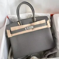 Hermes Birkin 30 Bag in Epsom Leather with Gold Hardware-Grey (1)