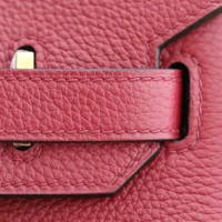 Hermes Birkin 30 Bag in Epsom Leather with Gold Hardware-RedGold (1)