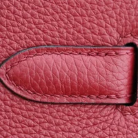 Hermes Birkin 30 Bag in Epsom Leather with Gold Hardware-RedGold (1)