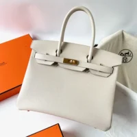 Hermes Birkin 30 Bag in Epsom Leather with Gold Hardware-WhiteGold (1)