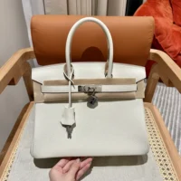 Hermes Birkin 30 Bag in Epsom Leather with Gold Hardware-WhiteSilver (1)
