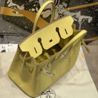 Hermes Birkin 30 Bag in Epsom Leather with Gold Hardware-YellowSilver (1)