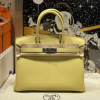Hermes Birkin 30 Bag in Epsom Leather with Gold Hardware-YellowSilver (1)