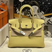 Hermes Birkin 30 Bag in Epsom Leather with Gold Hardware-YellowSilver (1)