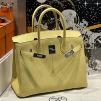 Hermes Birkin 30 Bag in Epsom Leather with Gold Hardware-YellowSilver (1)
