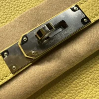 Hermes Birkin 30 Bag in Epsom Leather with Gold Hardware-YellowSilver (1)