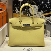 Hermes Birkin 30 Bag in Epsom Leather with Gold Hardware-YellowSilver (1)