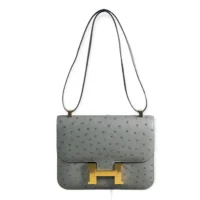 Hermes Women Constance 24 Bag Nata Ostrich Leather-SilverGold (1)