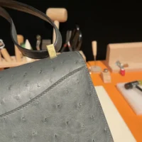 Hermes Women Constance 24 Bag Nata Ostrich Leather-SilverGold (1)