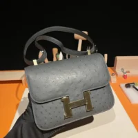 Hermes Women Constance 24 Bag Nata Ostrich Leather-SilverGold (1)
