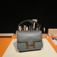 Hermes Women Constance 24 Bag Nata Ostrich Leather-SilverGold (1)