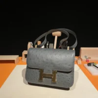 Hermes Women Constance 24 Bag Nata Ostrich Leather-SilverGold (1)