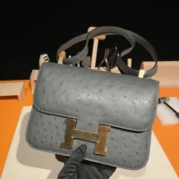 Hermes Women Constance 24 Bag Nata Ostrich Leather-SilverGold (1)