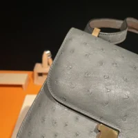 Hermes Women Constance 24 Bag Nata Ostrich Leather-SilverGold (1)